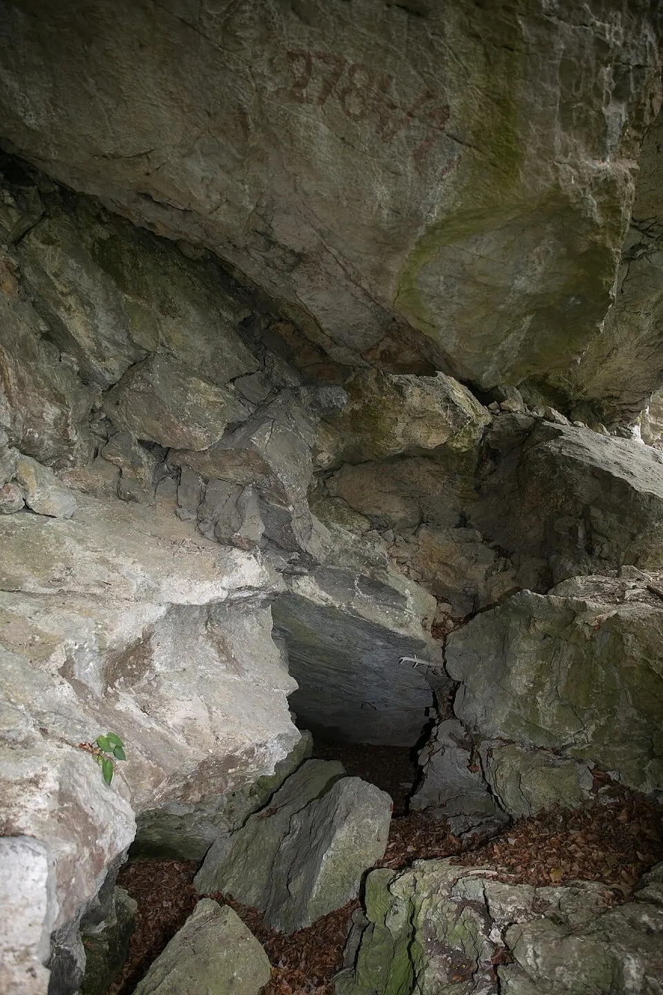 Bild: Christian Pirkl · CC BY-SA 4.0 Schichtgrenzhöhle