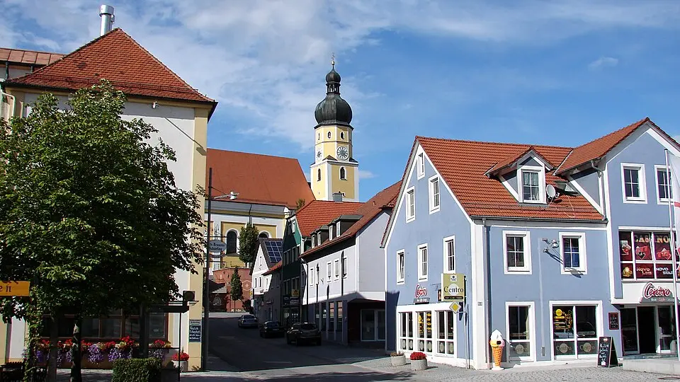 Bild: H. Helmlechner · CC BY-SA 3.0 Schierling