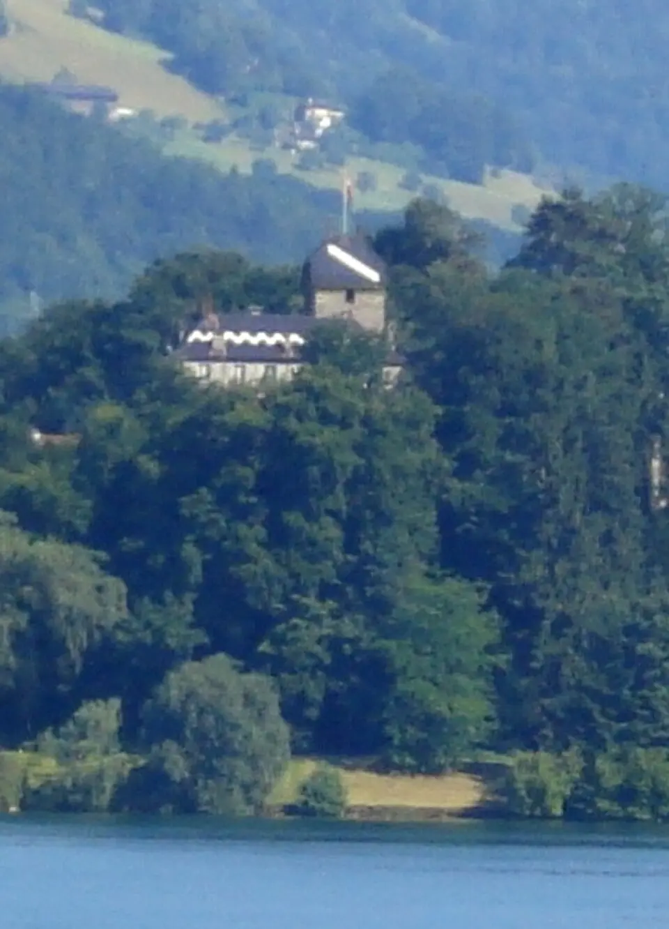 Schloss Buonas (Schlossanlage mit Nebengebäuden und Parkanlage)