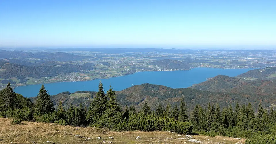 Wikimedia Commons