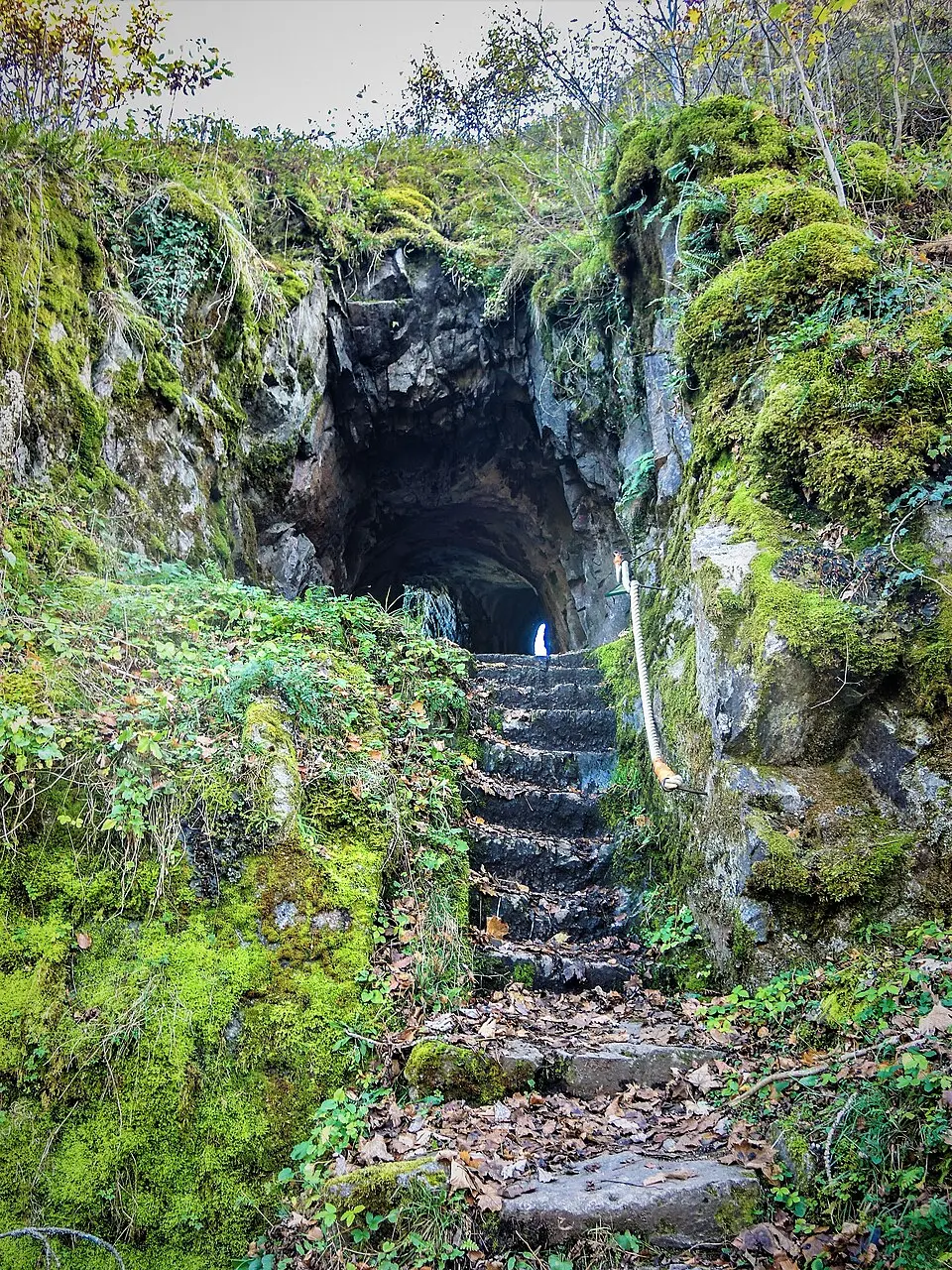 Obrázek: Espirat · CC BY-SA 4.0 château de Wildenstein