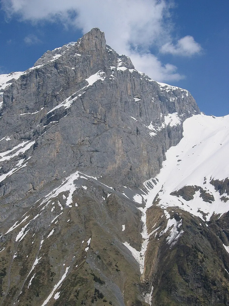 Bild: Mussklprozz · CC BY-SA 3.0 Schlossberg (Uri)