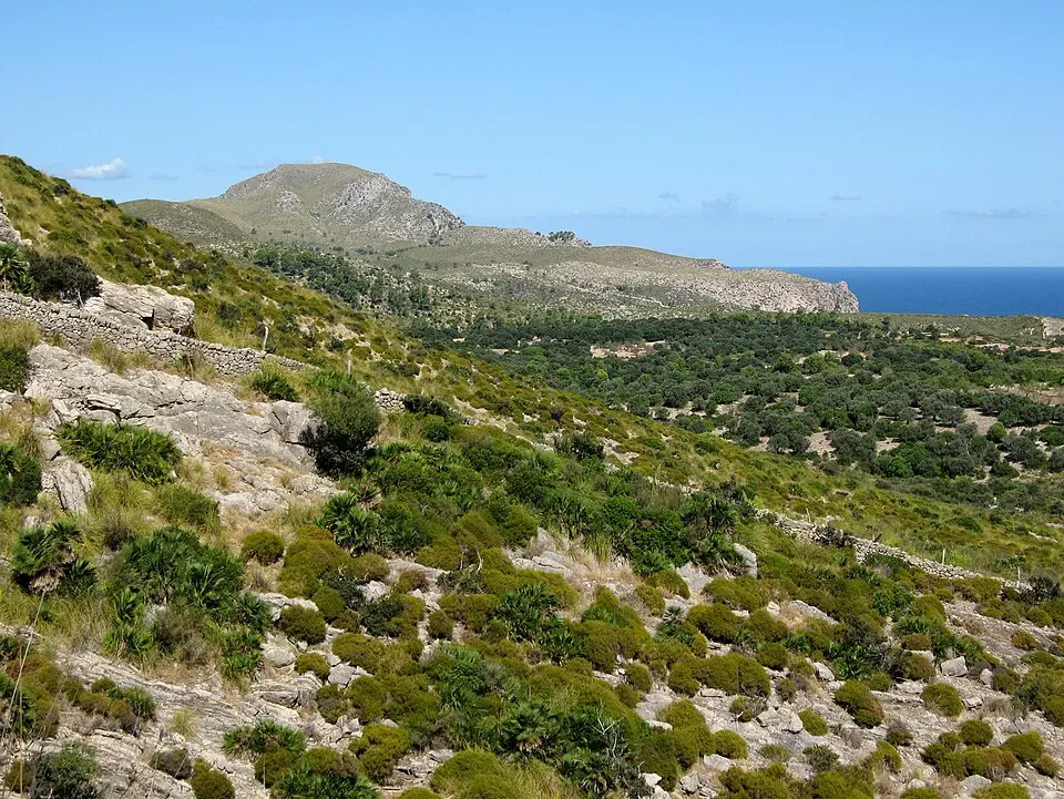 Bild: Olaf Tausch · CC BY 3.0 Parc natural de la península de Llevant