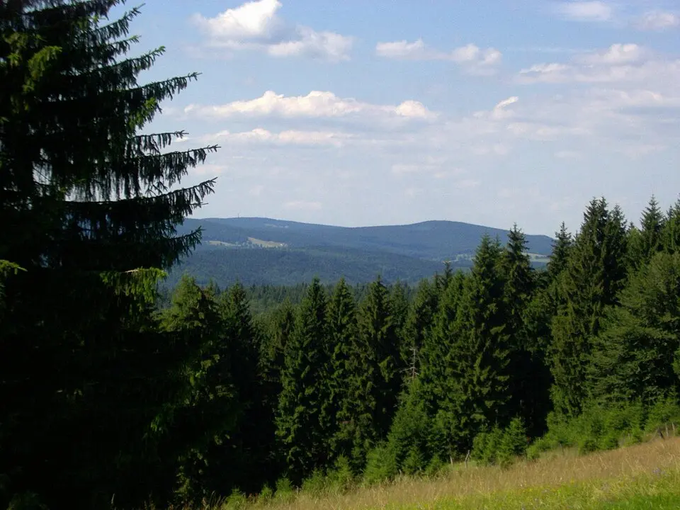 Immagine: Elop · CC BY-SA 2.5 Großer Finsterberg
