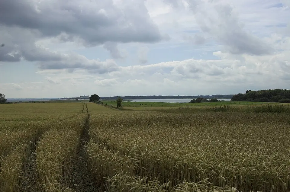 Obrázek: Wusel007 · CC BY-SA 3.0 Schwansener See