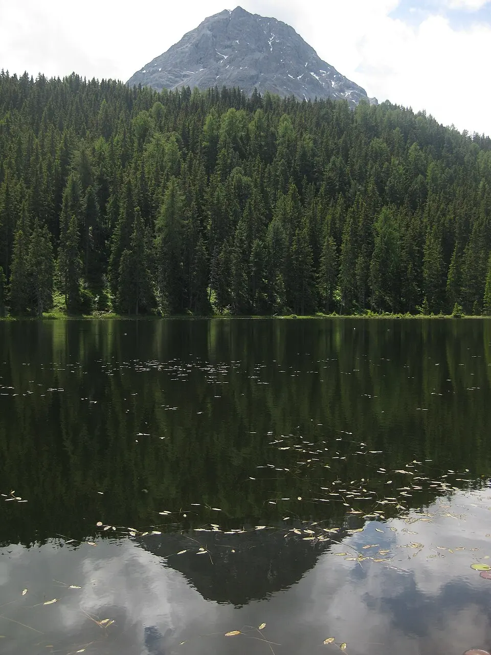 Bild: Tannhuser · CC BY-SA 3.0 Schwarzsee