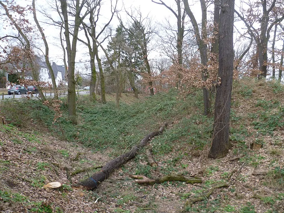 Schwedenschanze (Kelsterbach)