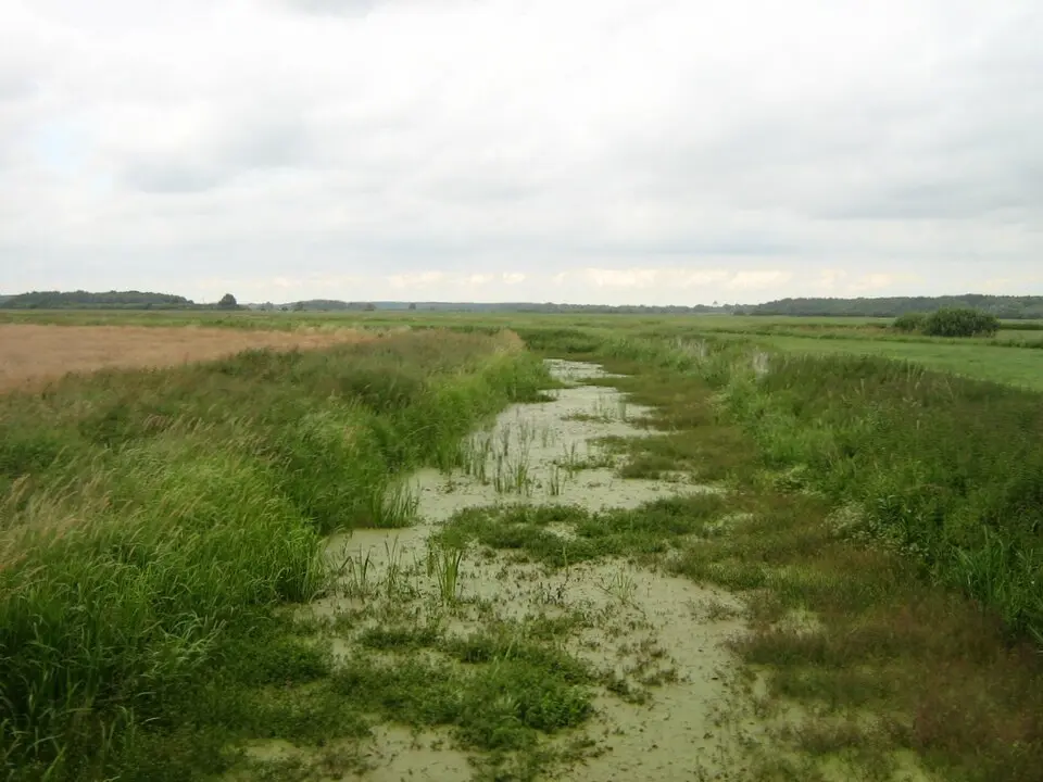 Augraben
