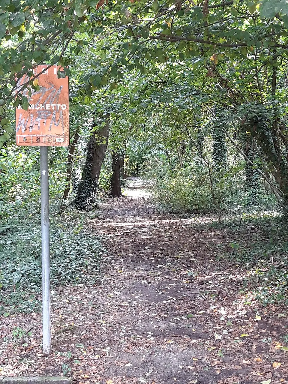 Fosso del Ronchetto