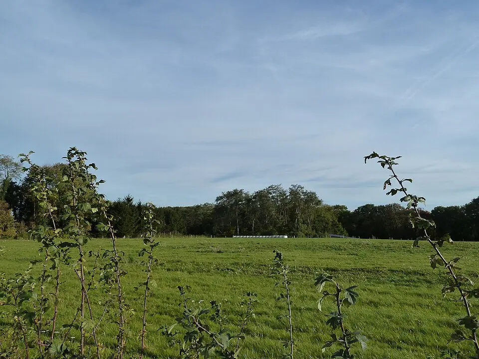 terrein waarin sporen van winning en bewerking van vuursteen op de Heunsberg