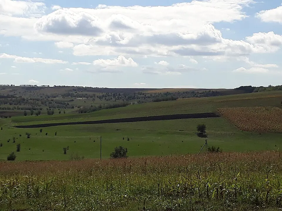 Așezare - Burghelea - IV