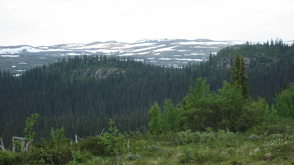 Skardberga naturreservat