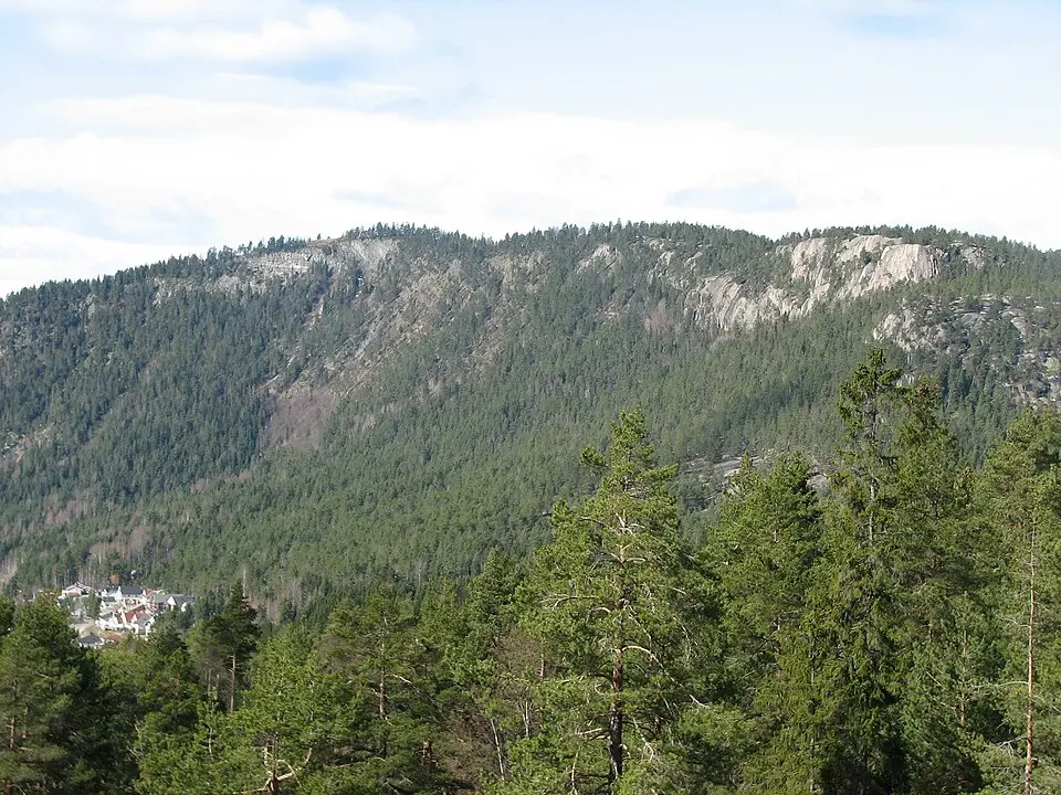 Solbergfjellet naturreservat