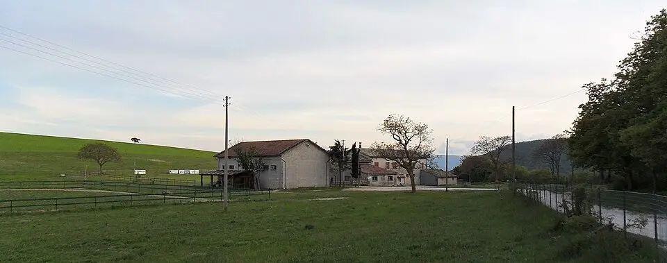 Avenale