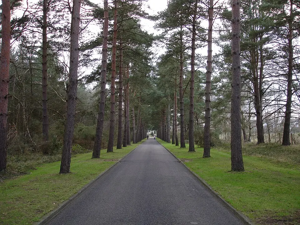 Brookwoodský hřbitov