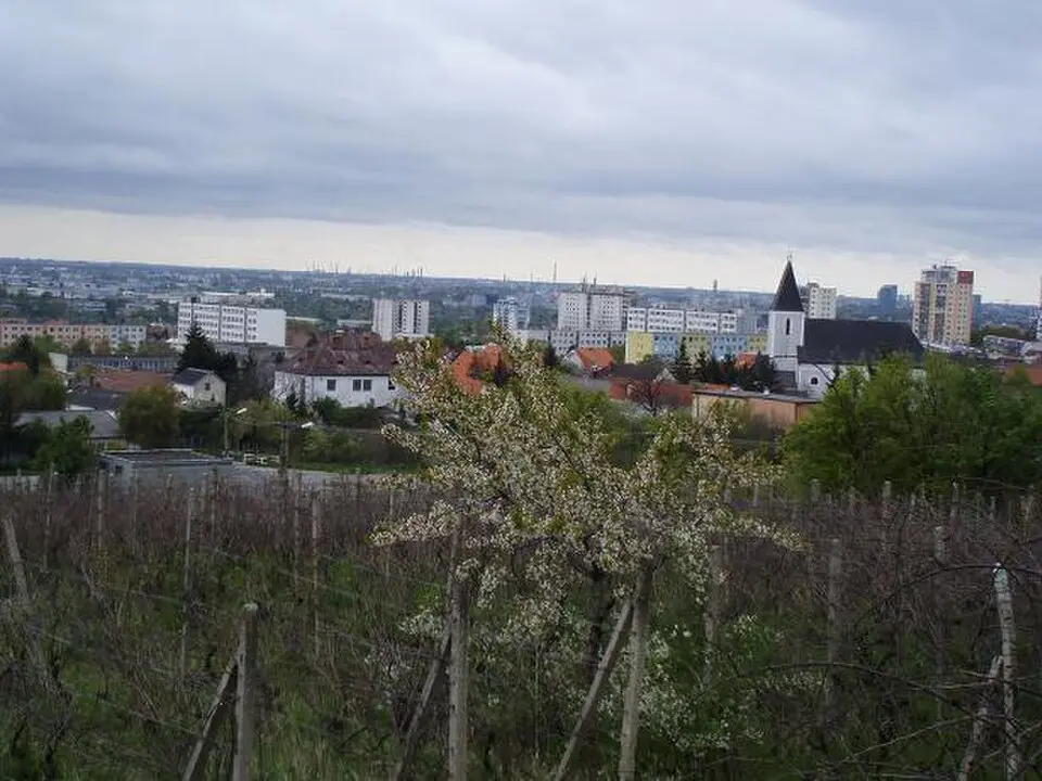 Bild: Michal Drotován · CC BY-SA 3.0 Rača