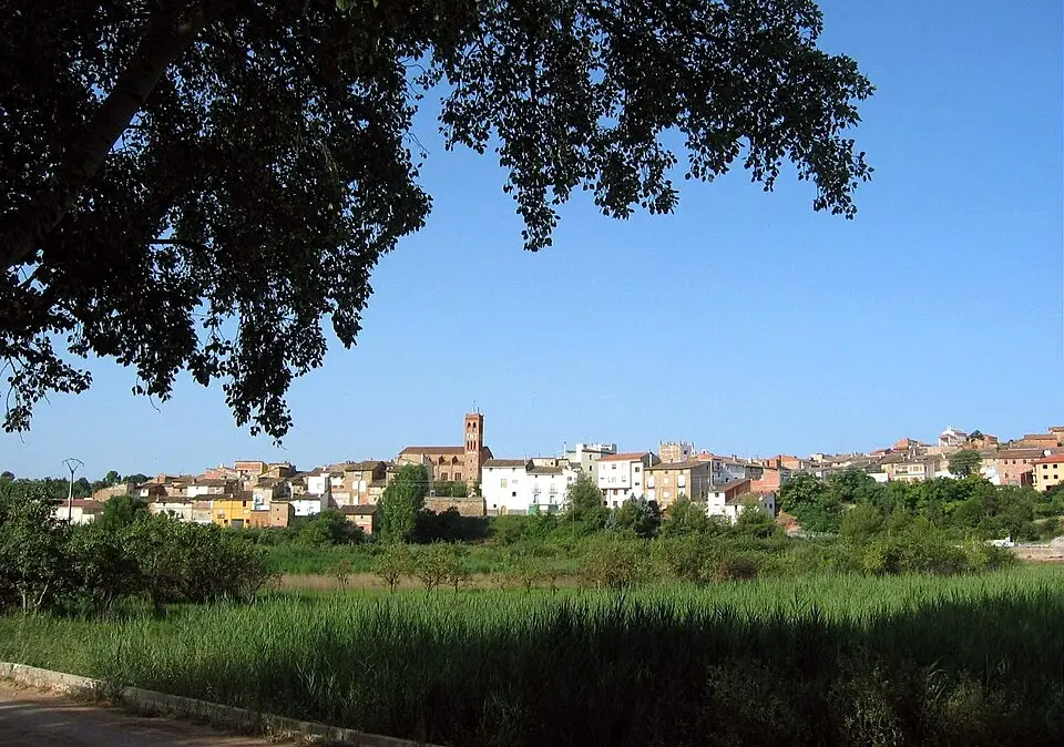 Torrebaja