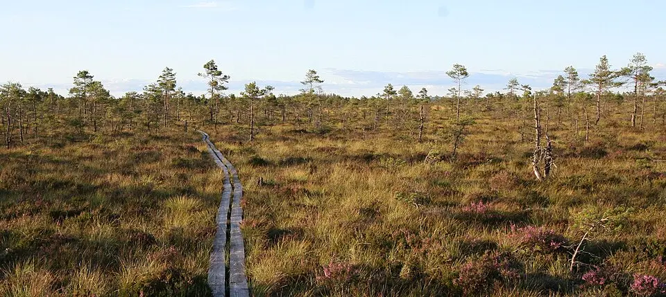 Store Mosse nationalpark