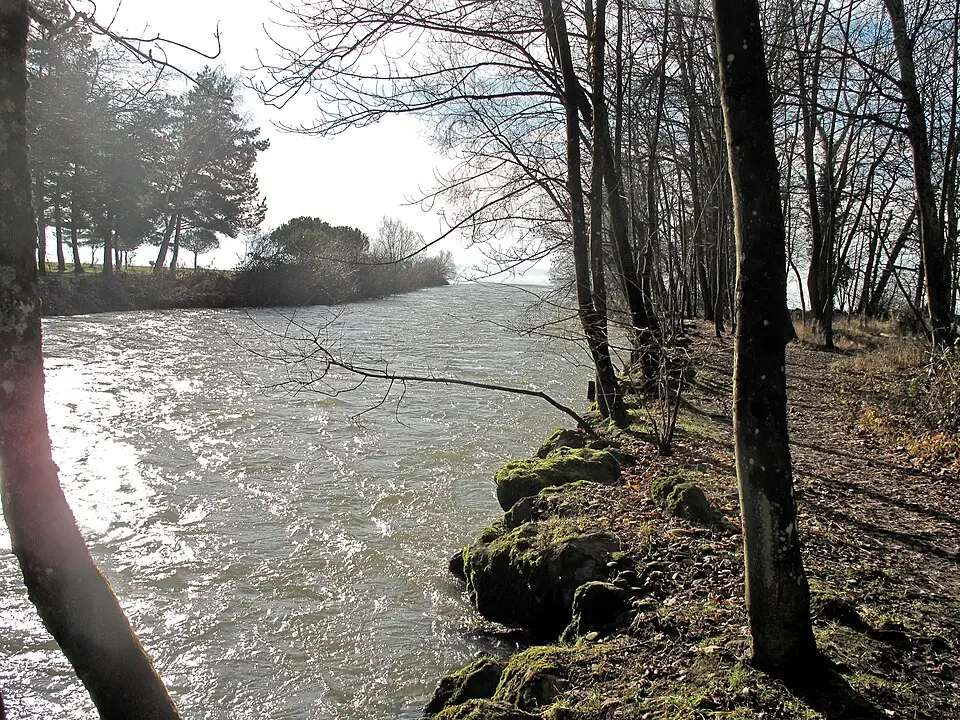 Immagine: Alain Rouiller · CC BY-SA 2.0 Buchillon