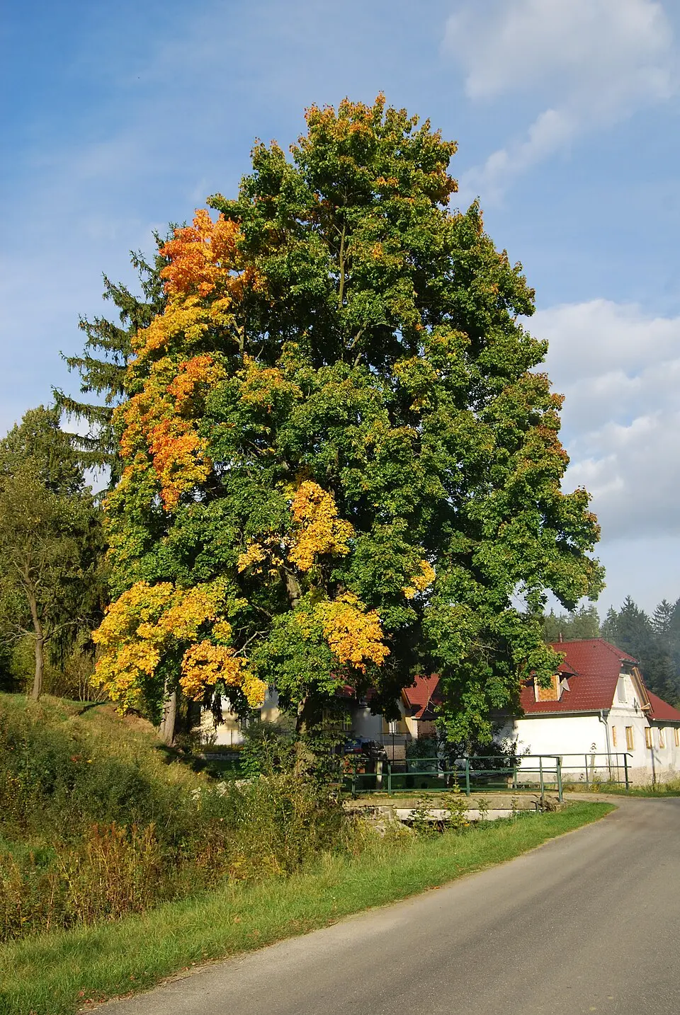Bild: Richenza · CC BY-SA 3.0 Struhy