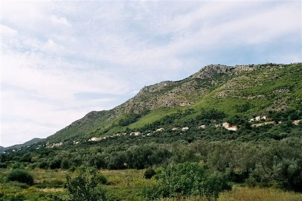 Babino Polje