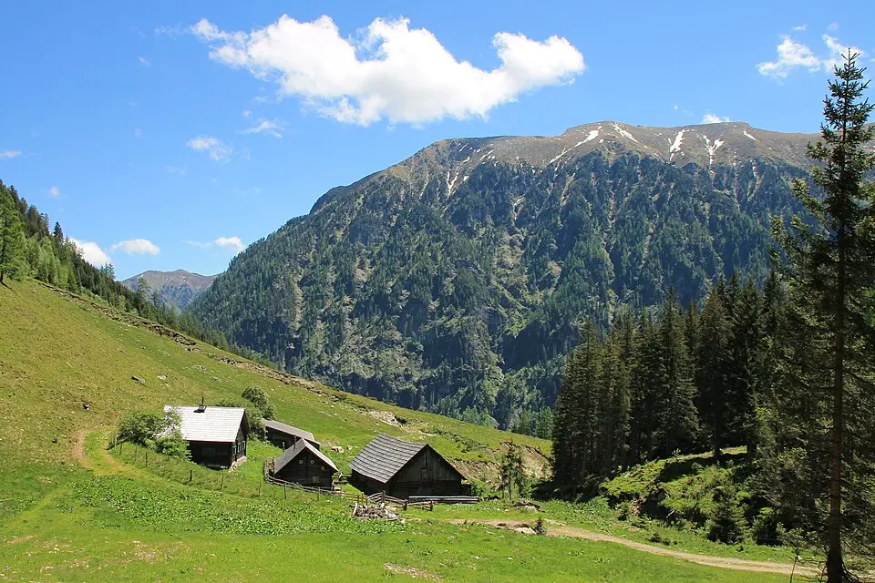 Schaufelspitze
