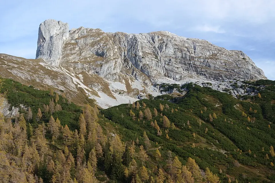 Sturzhahn