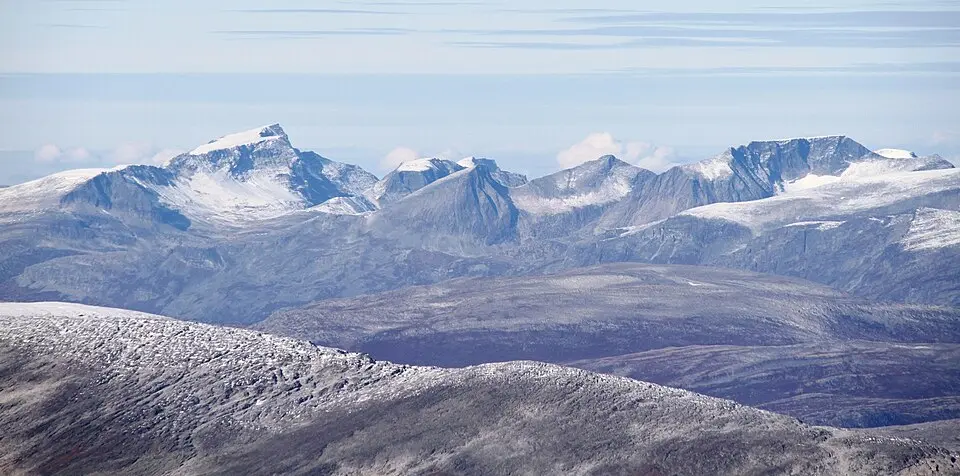 Navardalsnebba