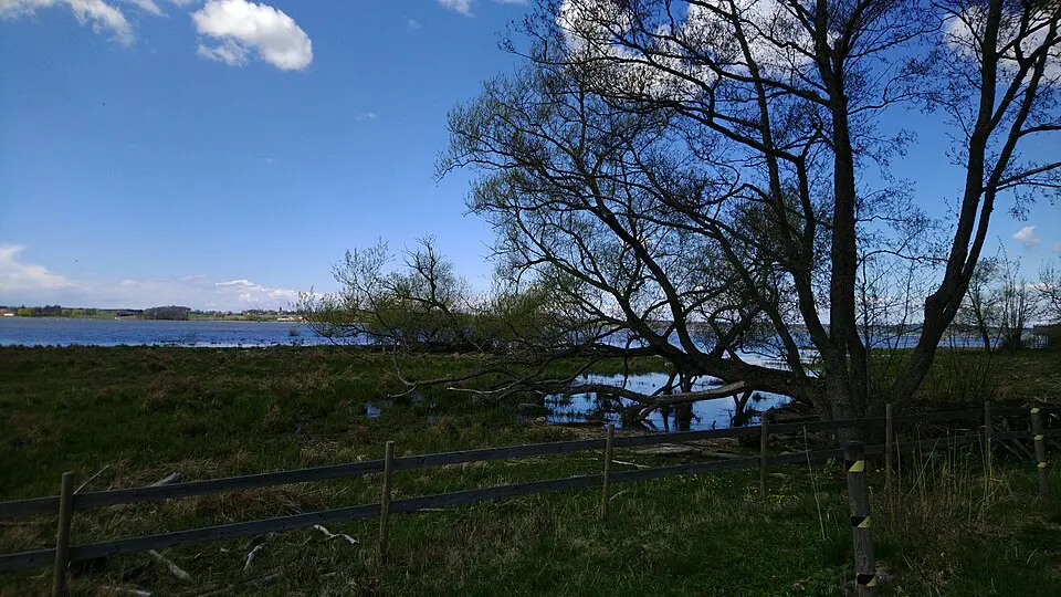 Svartåmynningen