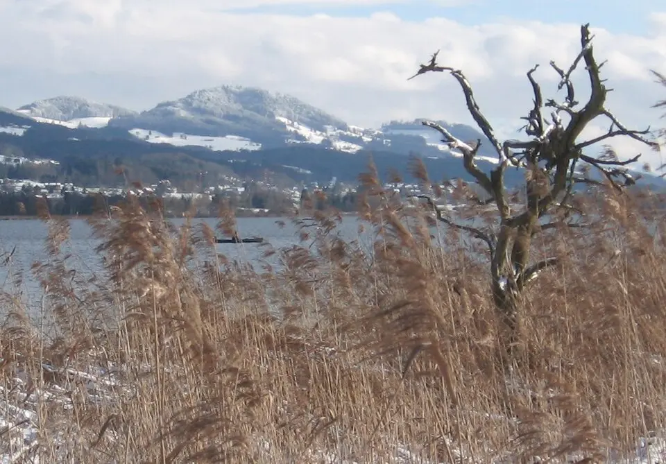 Bild: selber. Original uploader was Caumasee at de.wikipedia · Public domain Auenberg (Hinwil)
