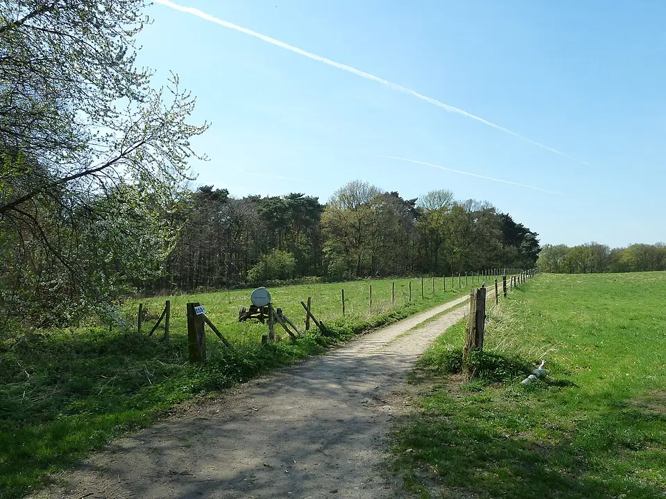 vuursteenvindplaatsen en sporen van bewoning in Stammenderbos