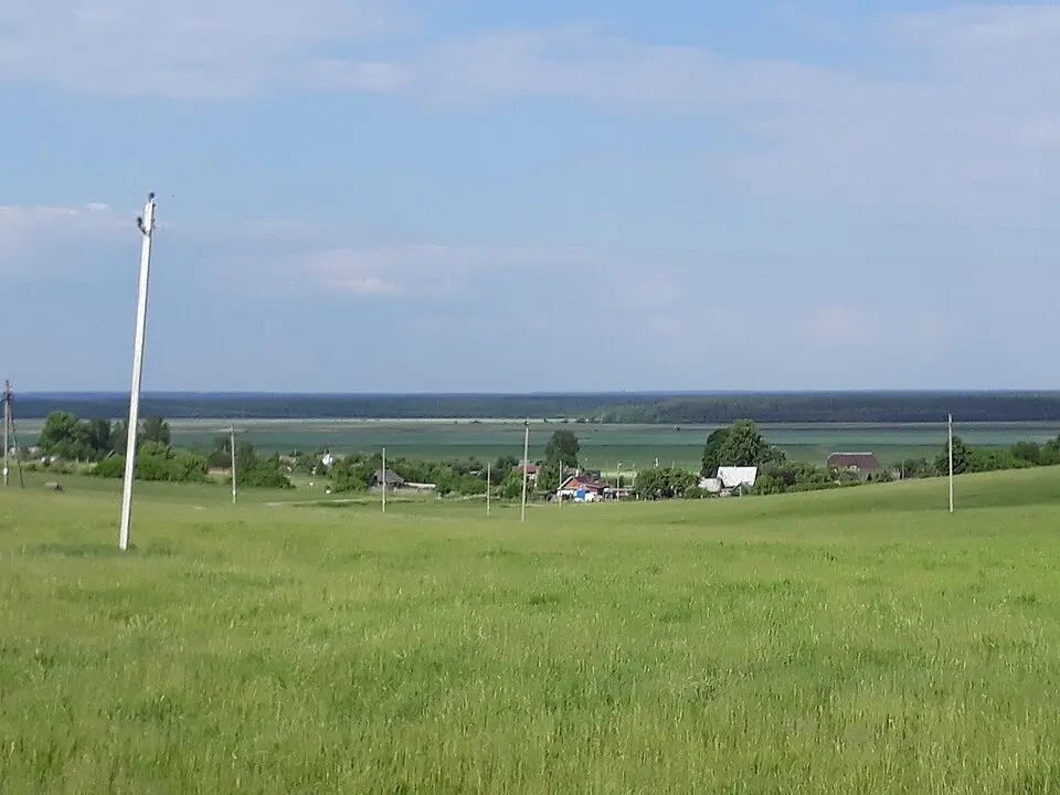 Čarty