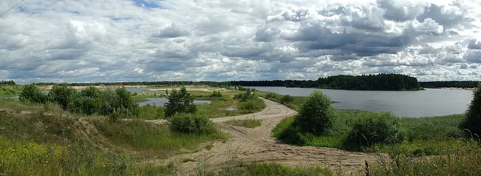 Tammemäe järv