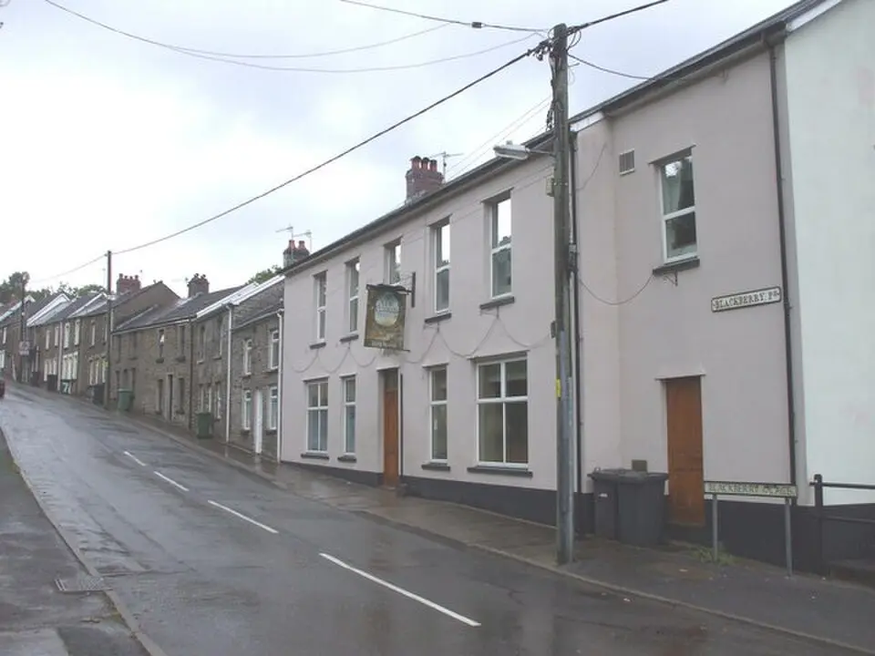 Mountain Ash East