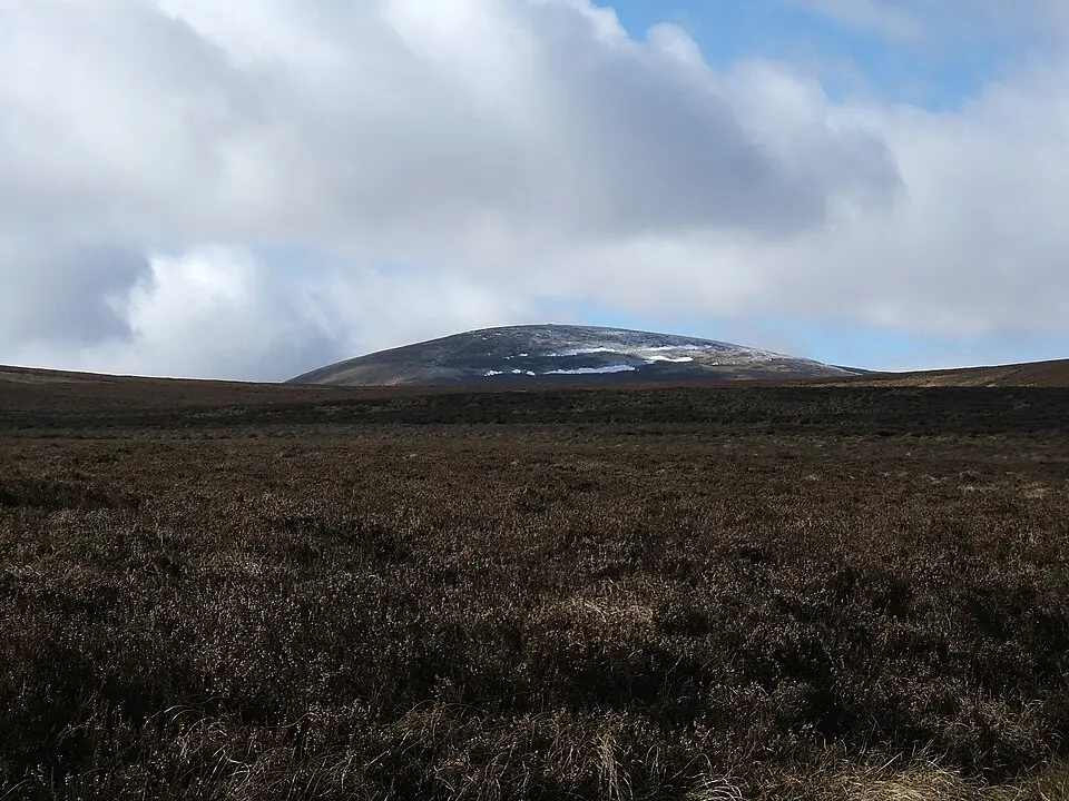 Cheviot Hills