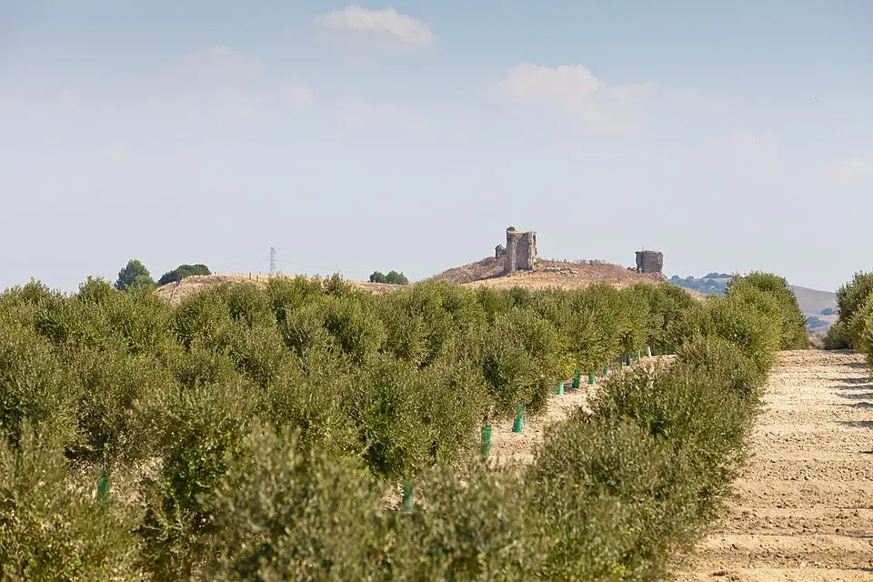 Torre Alocaz