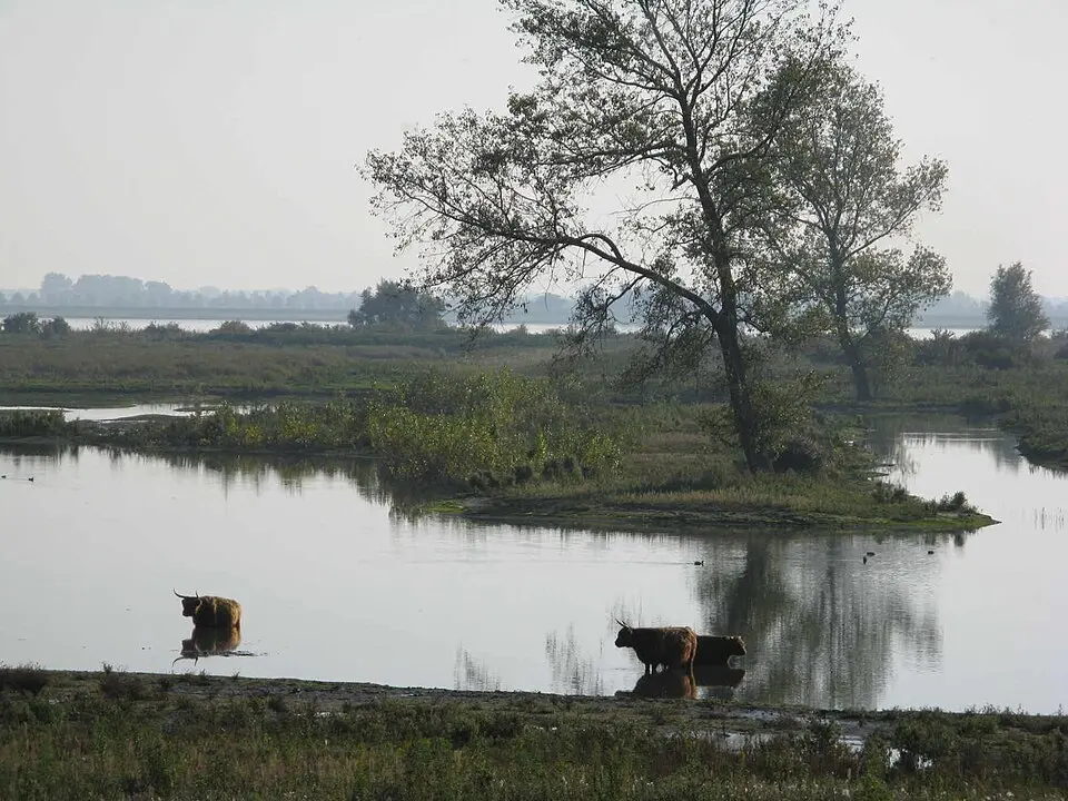 Tiengemeten