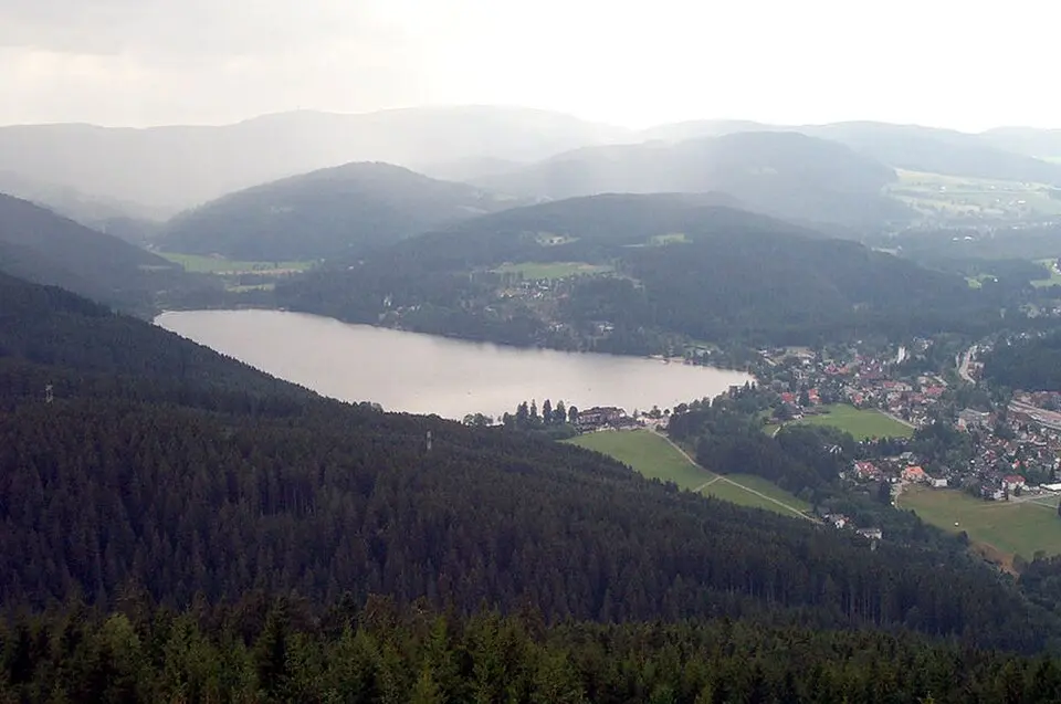 Wikimedia Commons