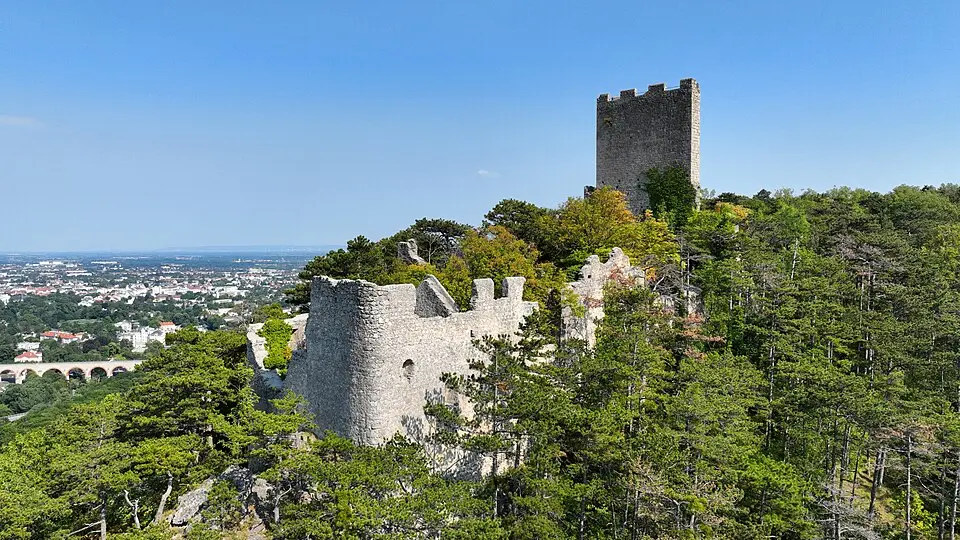 Wikimedia Commons