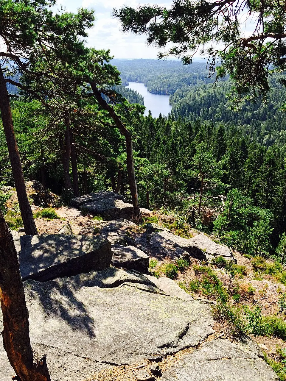 Østmarka nasjonalpark