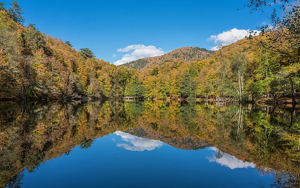 Bild: A.Savin · FAL Yedigöller-Nationalpark