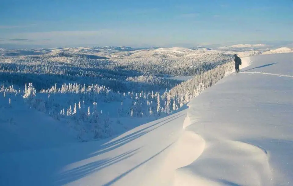 Trillemarka-Rollagsfjell naturreservat