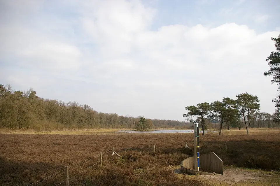Nationalpark Utrechtse Heuvelrug