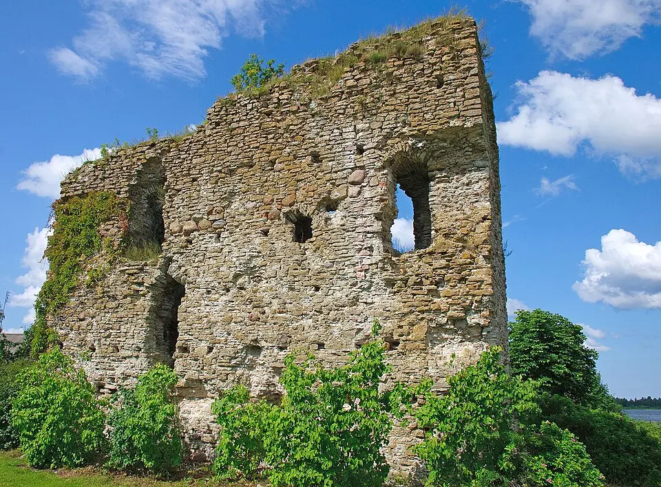 Vasknarva ordulinnus