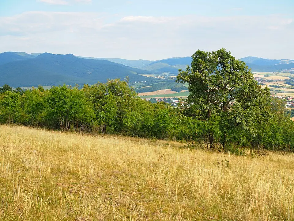 Veľký vrch