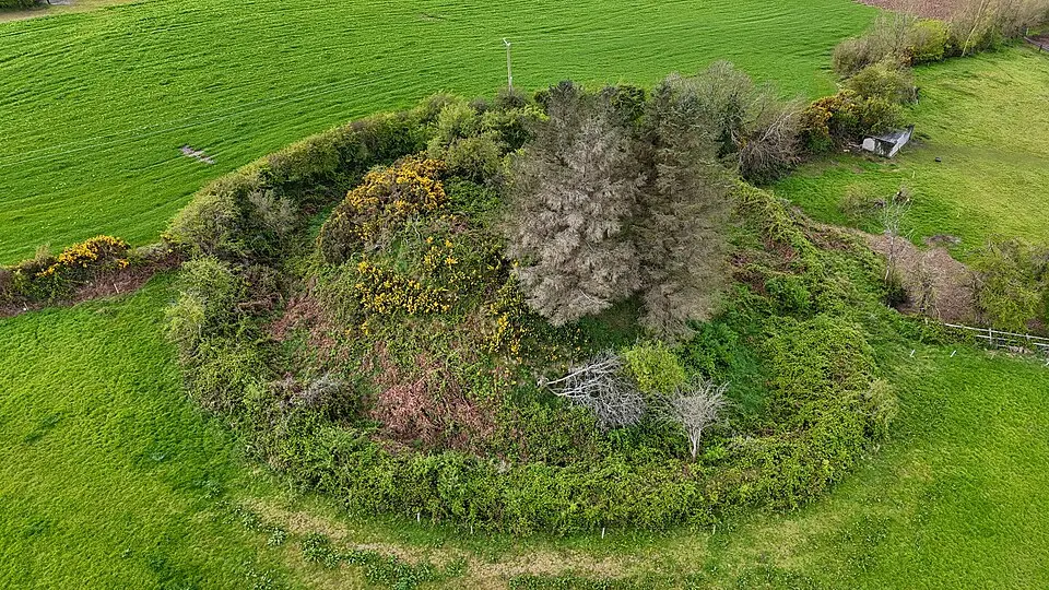 Ballymoty Motte