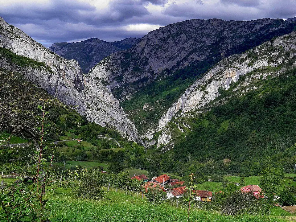 Viego