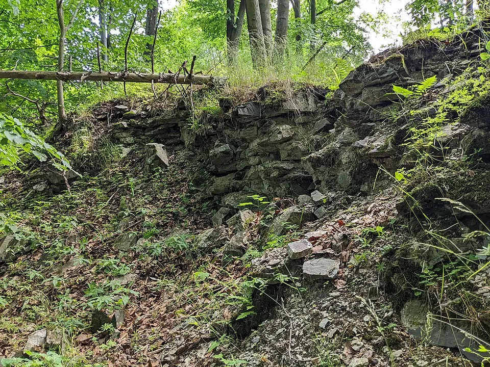 Wildstein