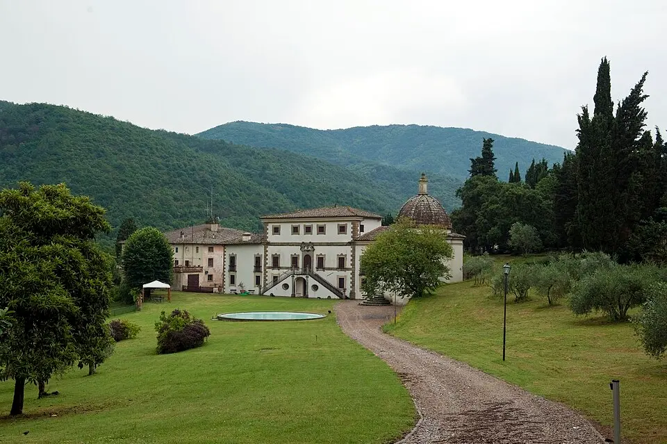 Cintoia
