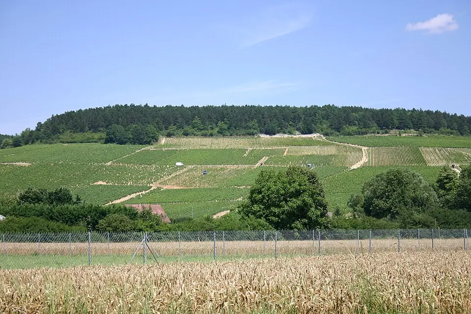 Chablis